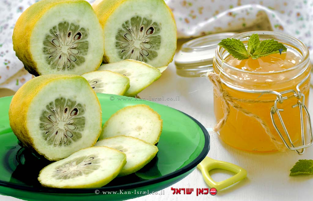 ריבת אתרוגים | עיבוד ממחושב: שולי סונגו© ריבת אתרוגים | עיבוד ממחושב: שולי סונגו©